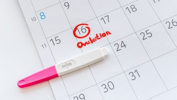 ovulation 0