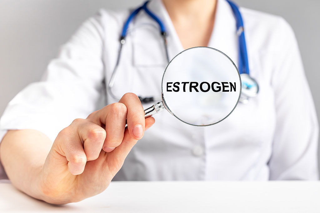 High Estrogen in Women What Causes High Estrogen Levels