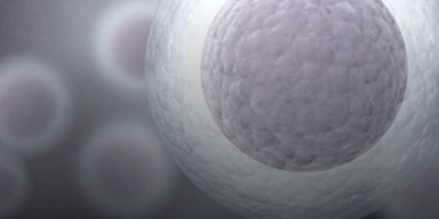 IVF/ICSI