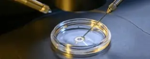Intra - Cytoplasmic Sperm Injection