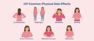 A Complete Guide to In Vitro Fertilization (IVF) A Complete Guide to In Vitro Fertilization (IVF)