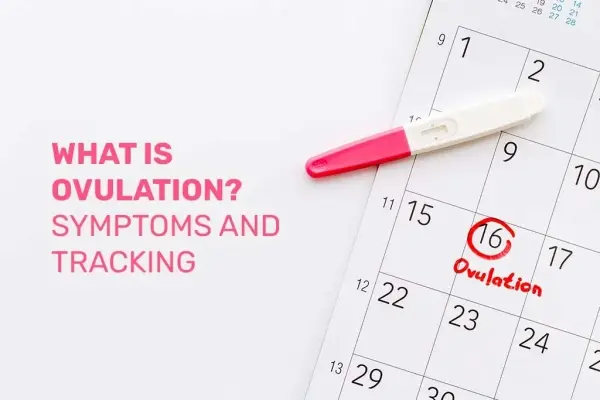 What Is Ovulation? Symptoms and Tracking