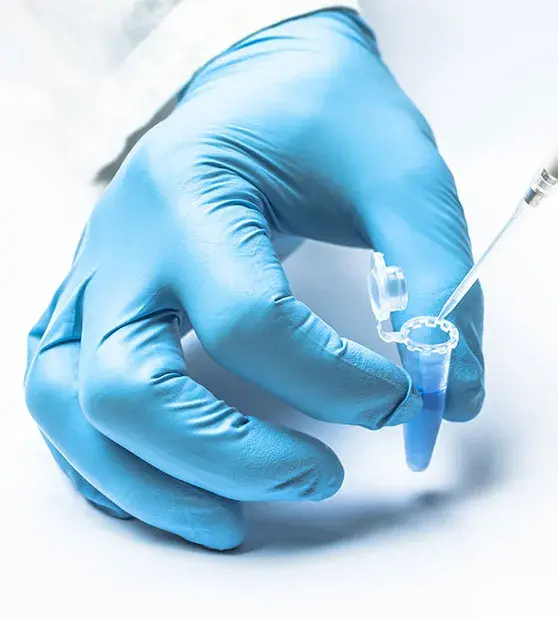 Preimplantation Genetic Testing for Aneuploidies PGT-A