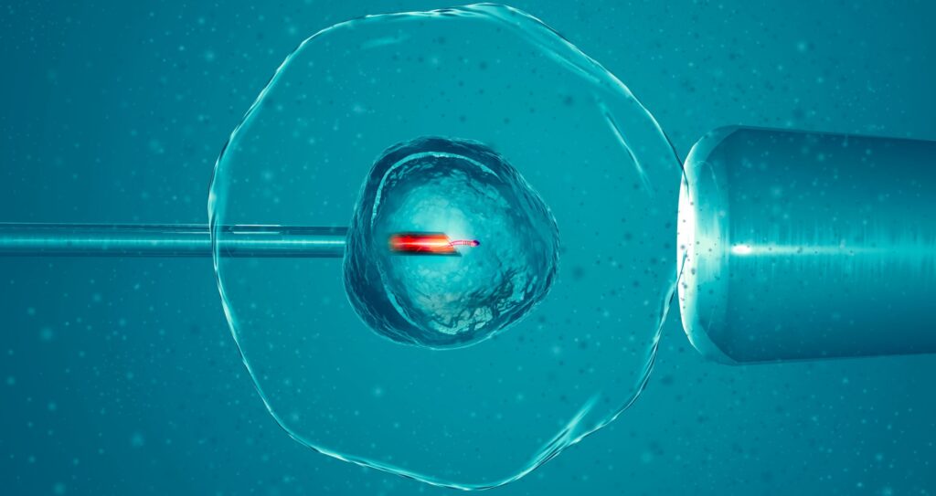 علاج العقم للنساء في الإمارات (1) علاج العقم للنساء في الإمارات (1)