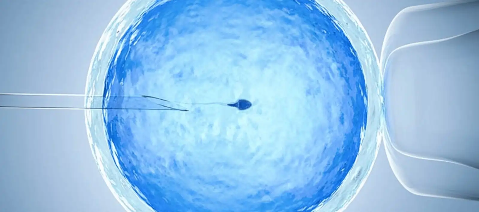 الممنوعات قبل سحب البويضات: لتحصلي على أفضل النتائج