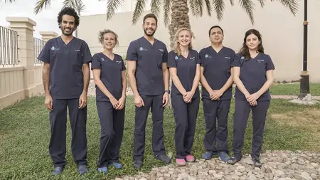 art-research-team-uae