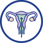 IUI & Fertility Procedures