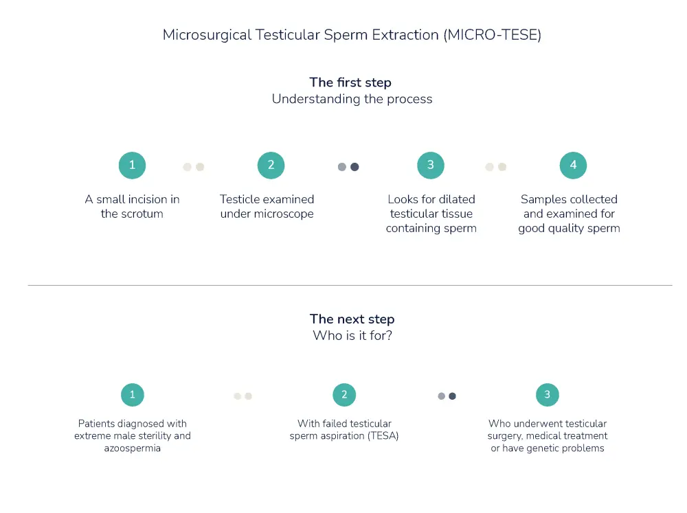 Microsurgical Testicular